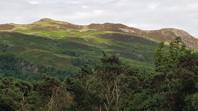 20200702 150936 768x432