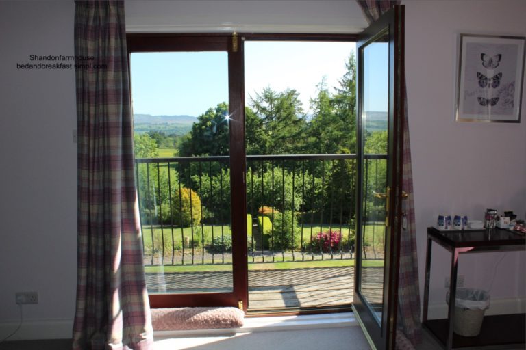 414FE5E1 5444 40A3 ACCF 6276BD5809F9 768x512