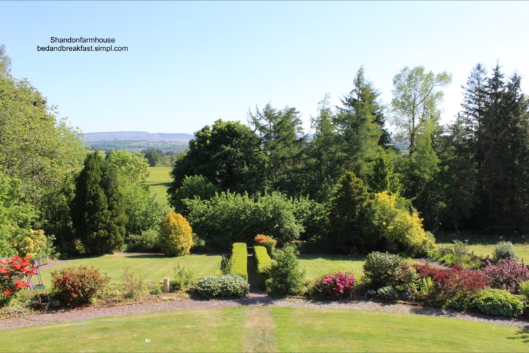 711DCECB 8632 460A B26E 7C24C0D6760E 768x513