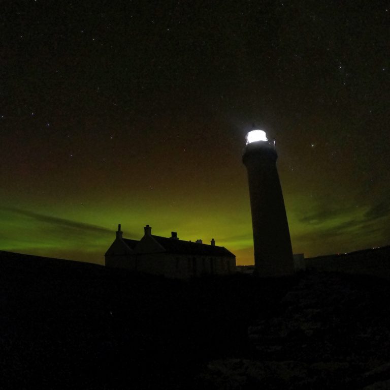 C3358143 8DD1 4E11 A79E 01A517ED3F2A 768x767