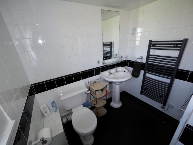 D2A3B488 D9DC 4886 845D C9E7DB751687 768x576