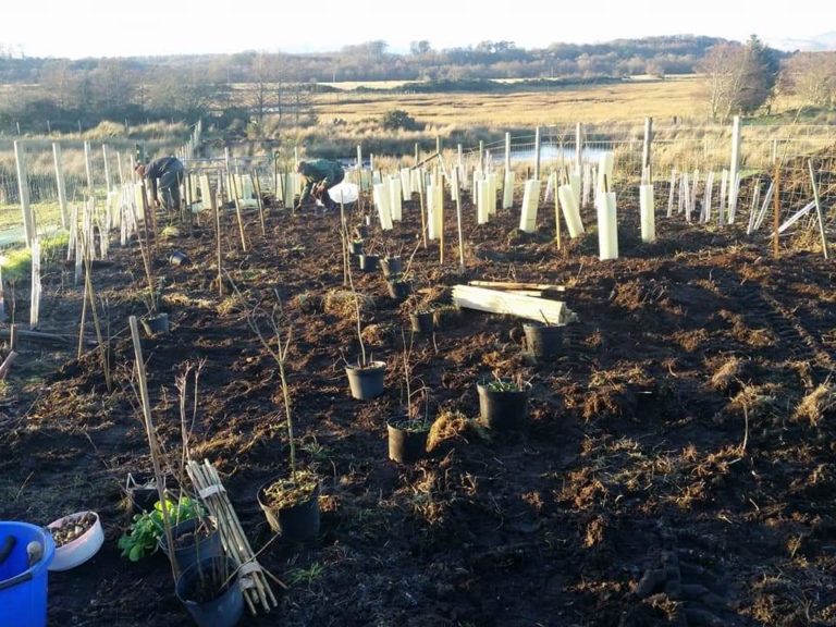 FB IMG 1577526938020 copse 2018 768x576