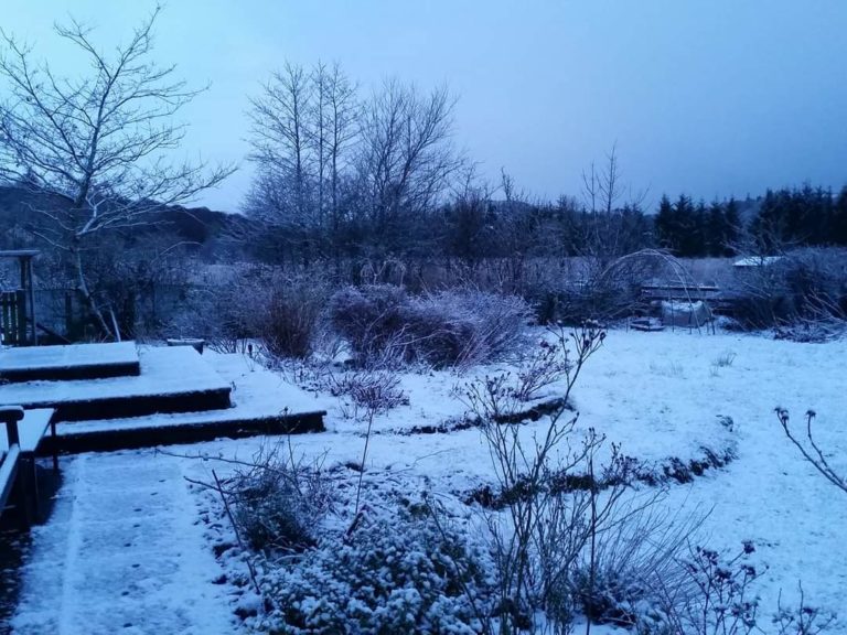 FB IMG 1598377282960 768x576