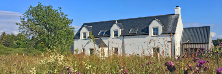 New Website Banner 1 768x256