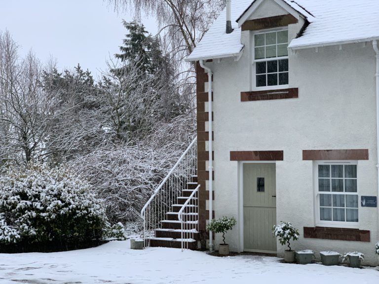 03BDB242 B394 4994 ACDE A12B697C0E20 1 768x576