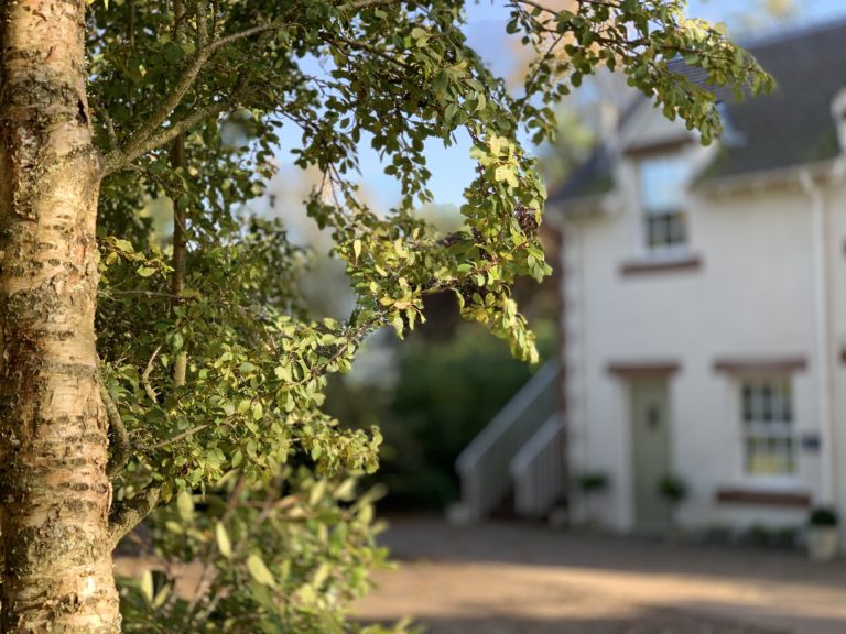 11428547 4731 4222 BF3E 87C24E5CECF6 768x576