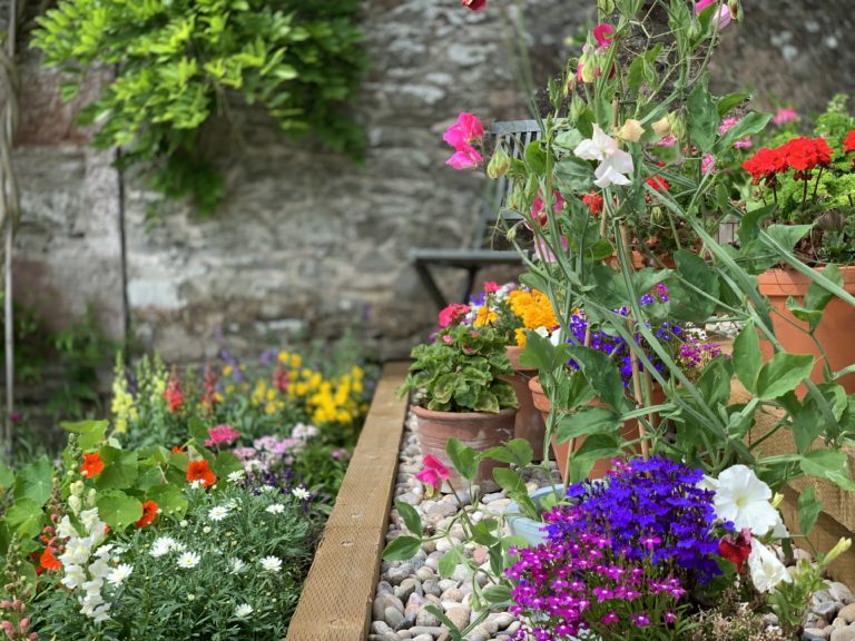 1CD60520 68FB 4FD6 B431 9F4E773C75C7 768x576