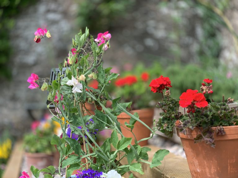 1E11C062 8B1B 4217 9819 3AE11C040644 768x576