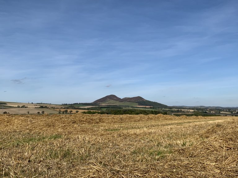 374119CB CBE4 4363 B9FC 746139BBD868 768x576