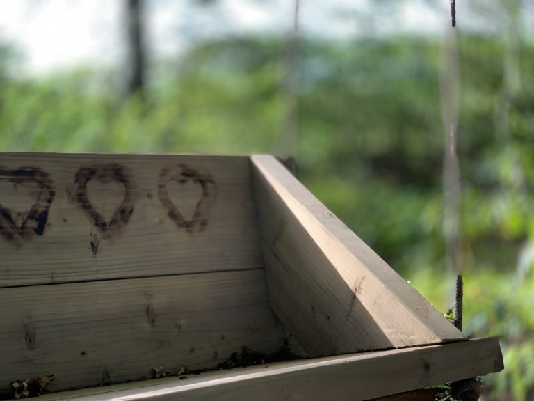 58B988F8 3419 4313 93C9 083EF056B2E3 768x576