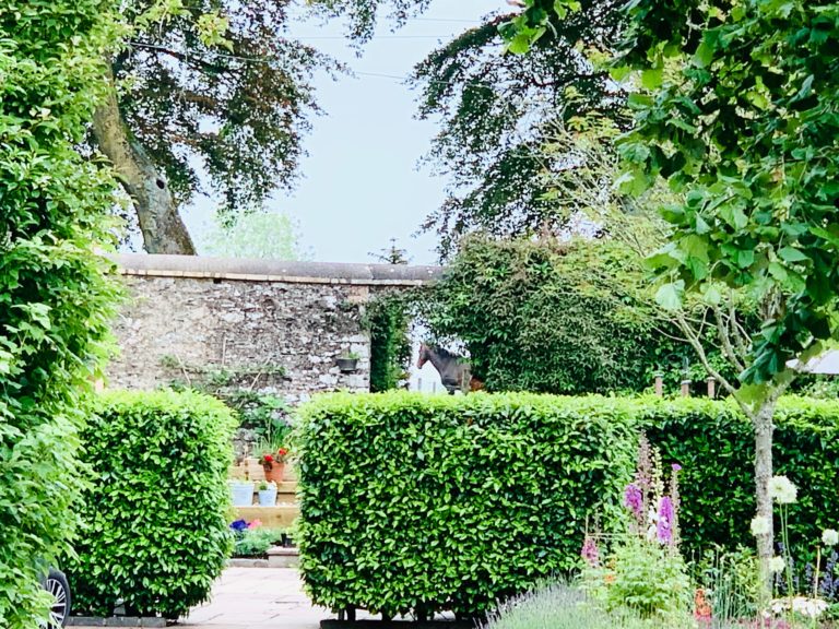 62D7CB3A 80C2 4BE3 A752 66BB8DEE2724 768x576