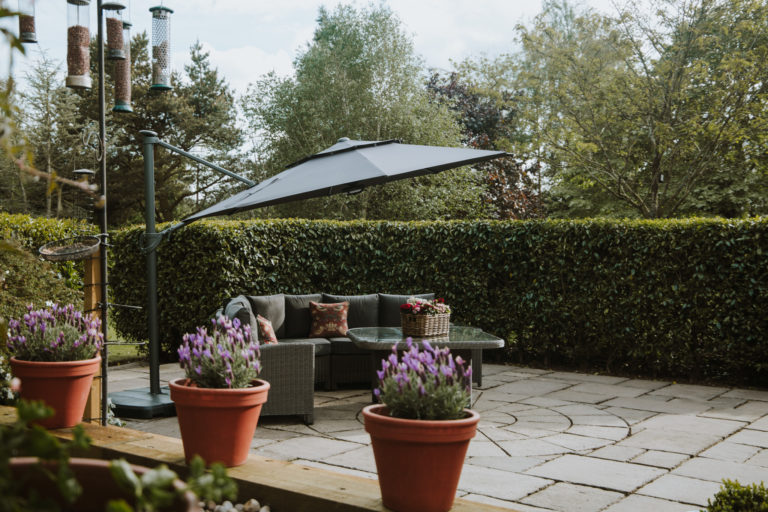 65812453 B190 4471 9A15 93782250E2DA 768x512