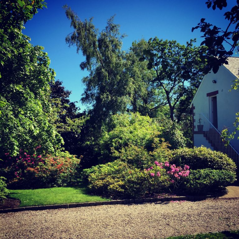 E2691B49 4458 42E2 9DB1 F67416D2B80F 768x768