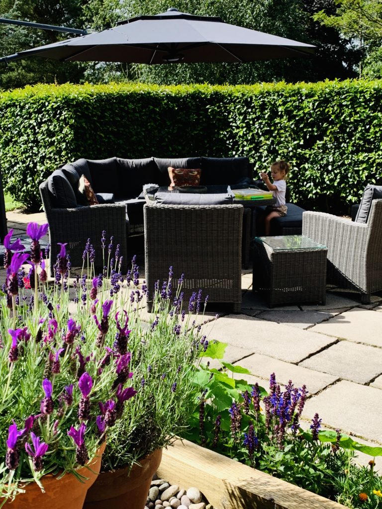 E4F6A7D0 FABC 472D 8C37 4700DE92A9FA 768x1024