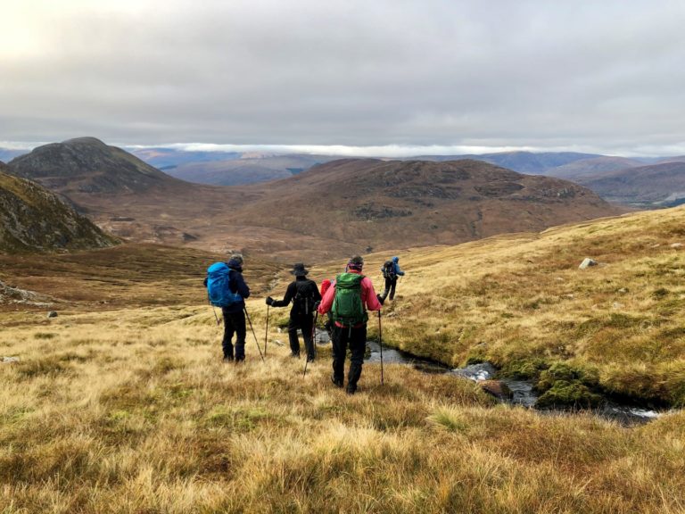 IMG 3830 Large 768x576