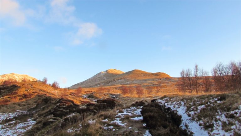 IMG 8809 edited 768x432