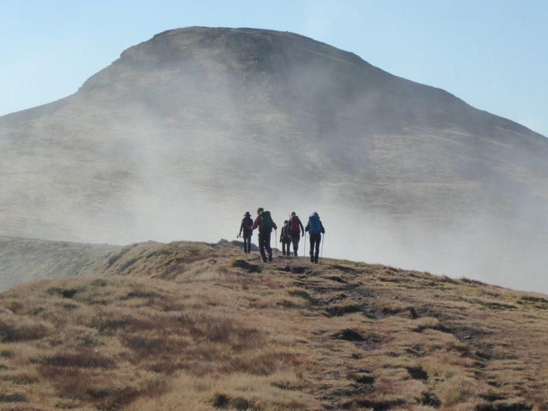 P1010495 Large 768x576