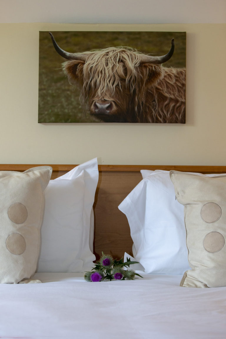Room 5 Thistles on Bed with Cow 768x1152