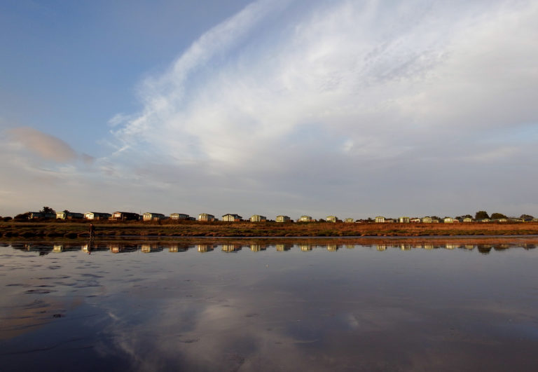 Wombat Fromwater 768x531