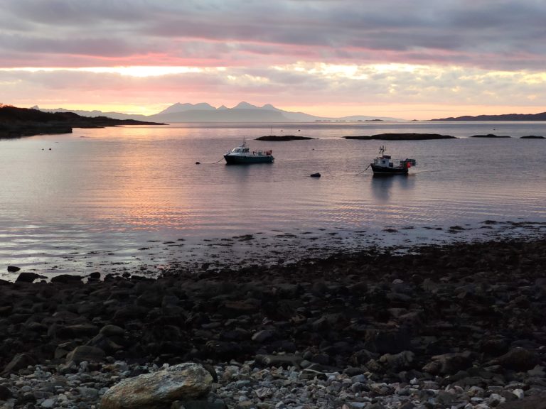 inbound766680679441976941 768x576