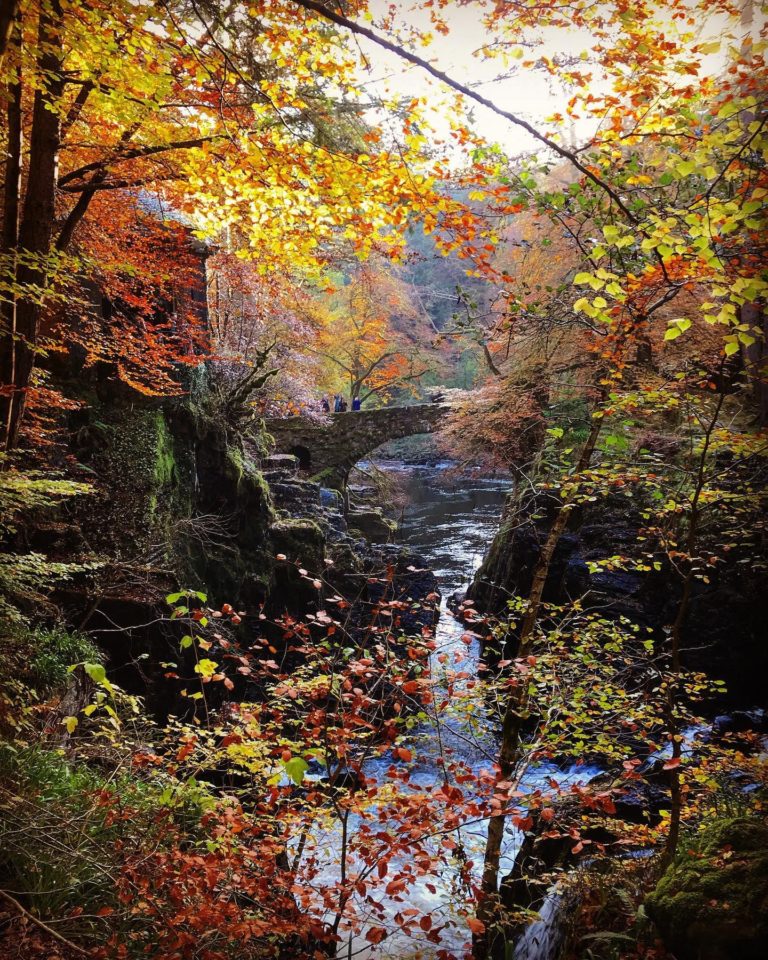 131904100 402372467852817 5187715063505105006 o 1 768x960