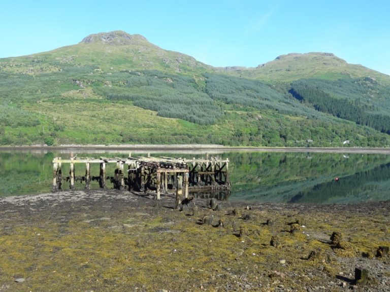 5B908E68 CDEC 4D69 97A2 CE0047851BB1 1 105 c 768x576