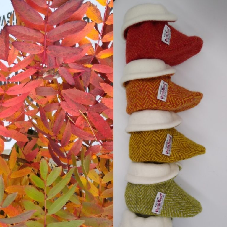 IMG 20201008 073052 647 768x768