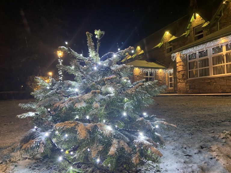 B4ED2E7F 8E53 4767 A5BA 6D69B892FE88 768x576