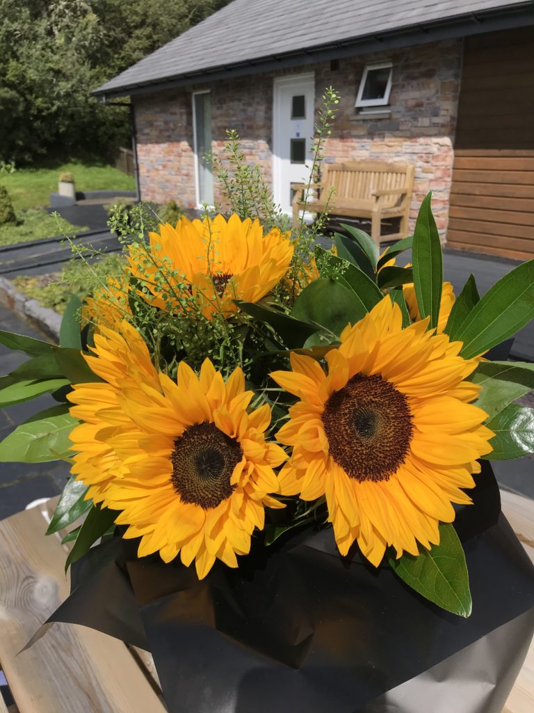 450716A0 B9C8 410C 8799 A952D240FC42 768x1024