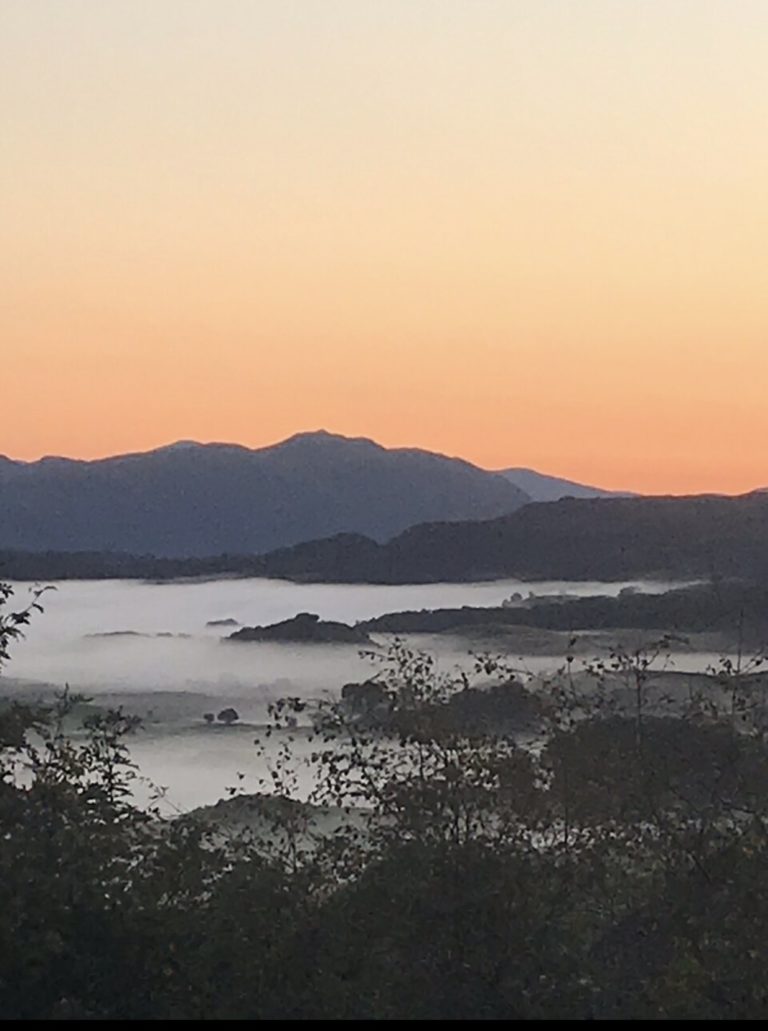 779C5FB0 B682 41A6 892C 5C7F0F8026E3 768x1031