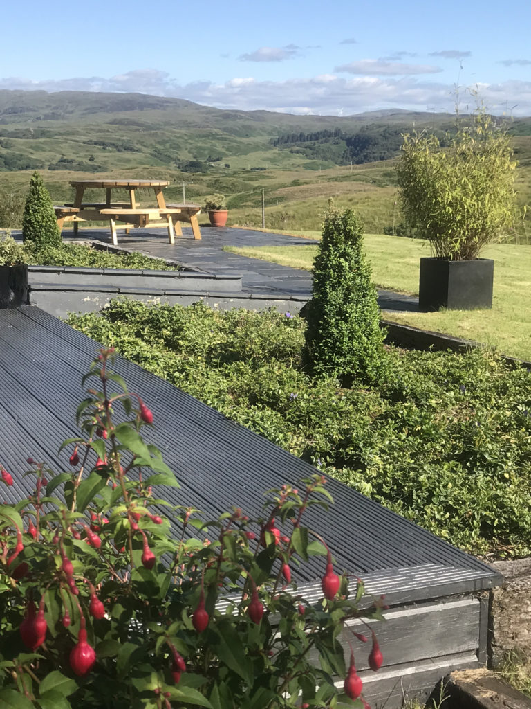 AEEA663F FEF4 42C0 B651 B778A0468D8C 768x1024