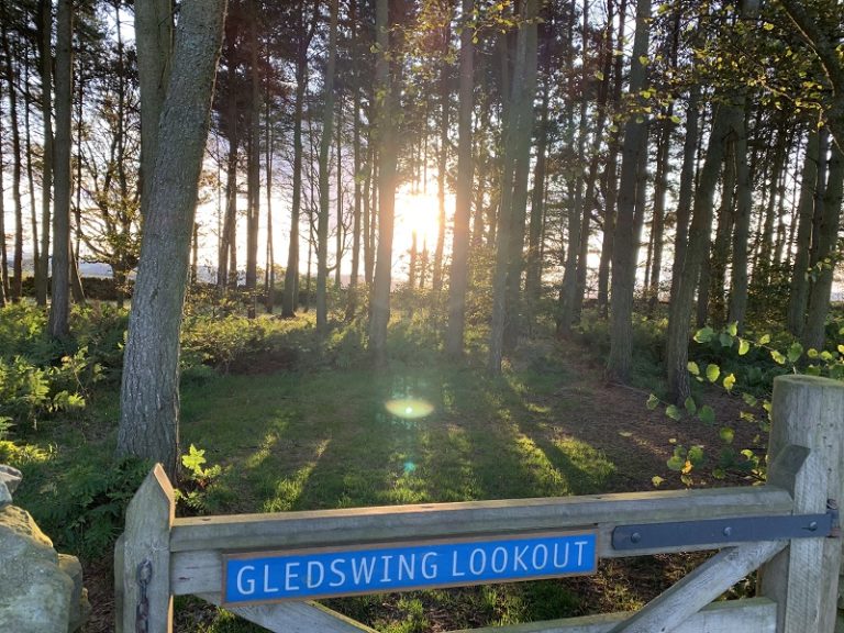 Woodland Gledswing Lookout 768x576