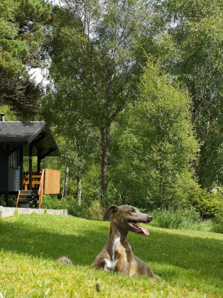 125378165 1812114405621582 2333800432291636485 o 768x1024