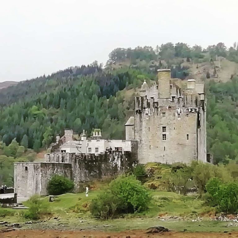 IMG 20190505 120935 476 768x768