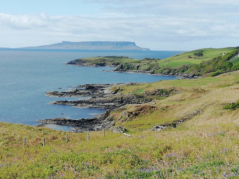 IMG 20190506 104630 768x576