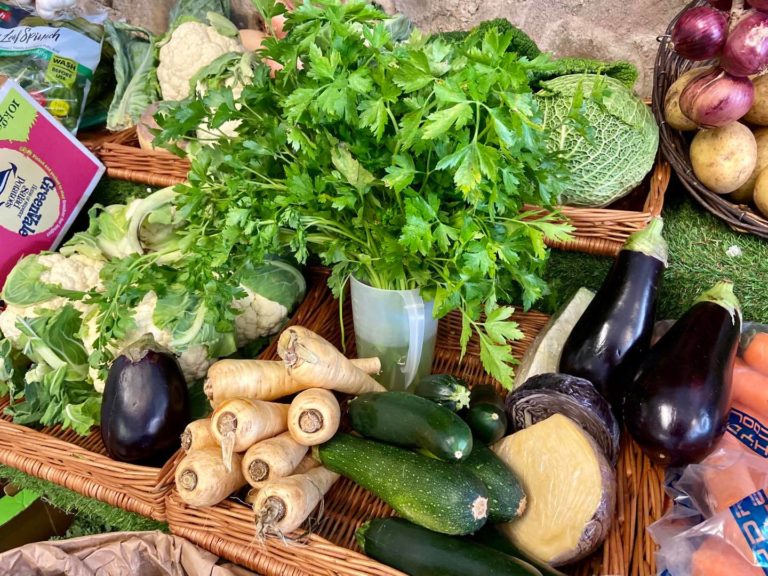 118763663 3118244931606200 3845912201319476313 o 768x576