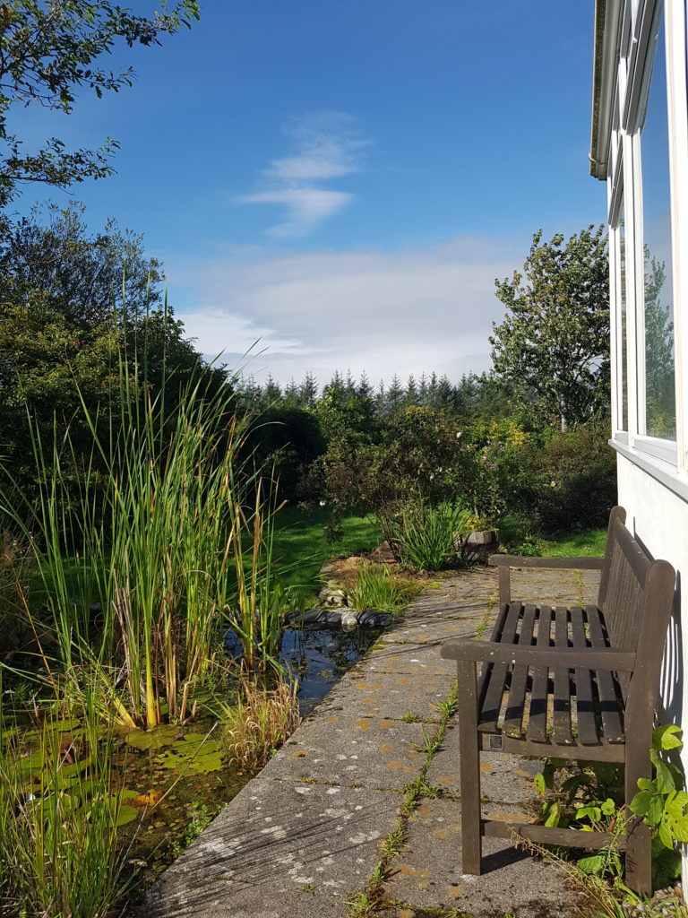 20200914 115836 768x1024