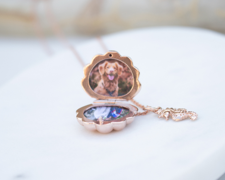 Untitled design 2021 08 20T144820.446 768x614