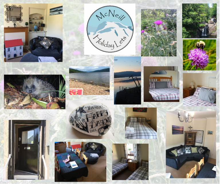 00F94DA6 0FBB 47D8 B62F 20B77F493DA6 768x643