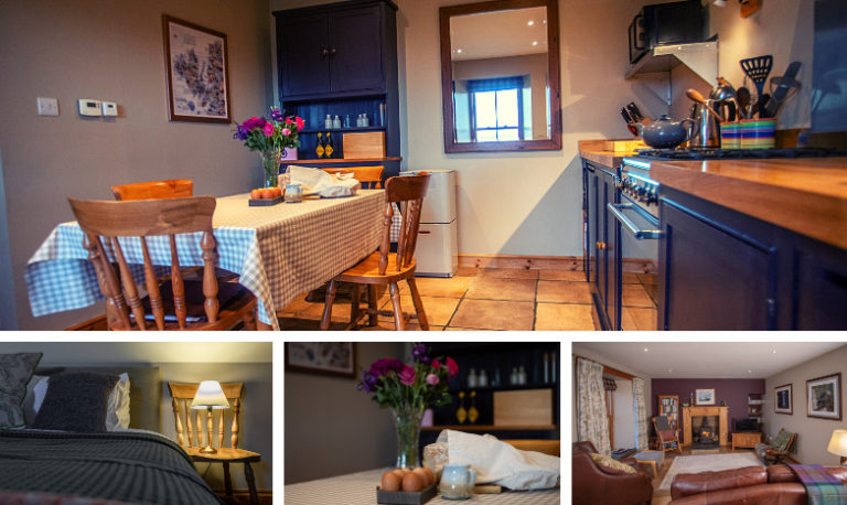 The Paint House Onboarding Design 768x458