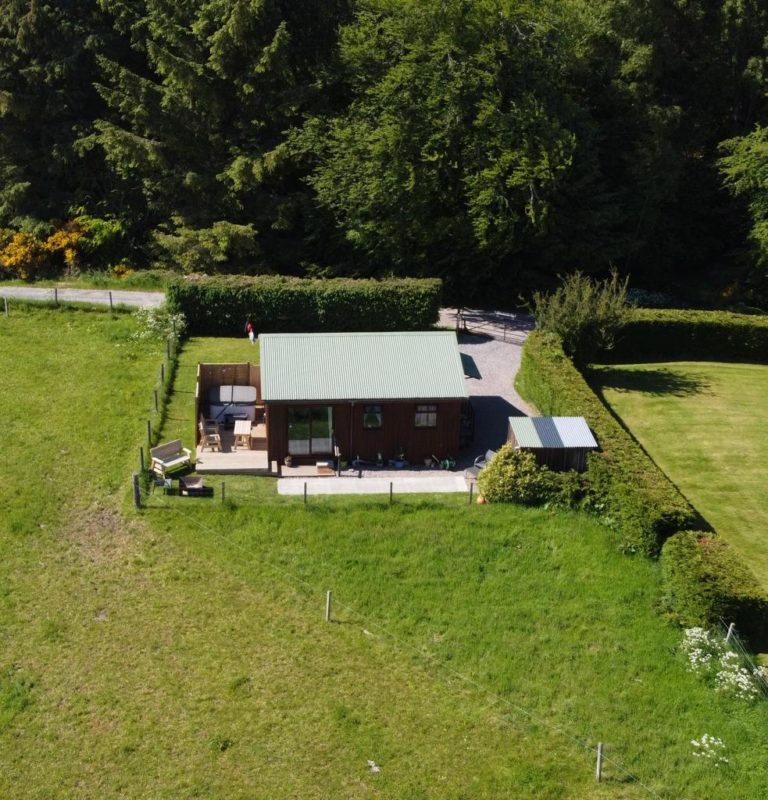 7234CFEE 2B27 4755 A254 A8F1666D45FA 768x800