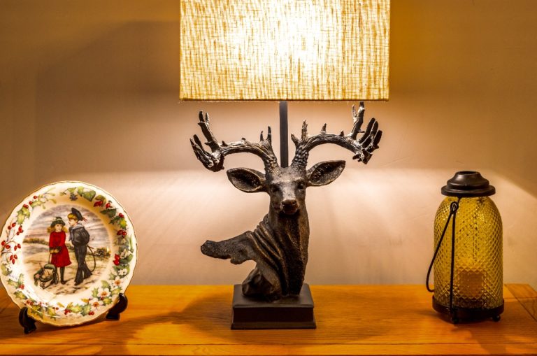 C99D18C7 0AD8 419E BBB2 C4D45A04B8EA 768x509