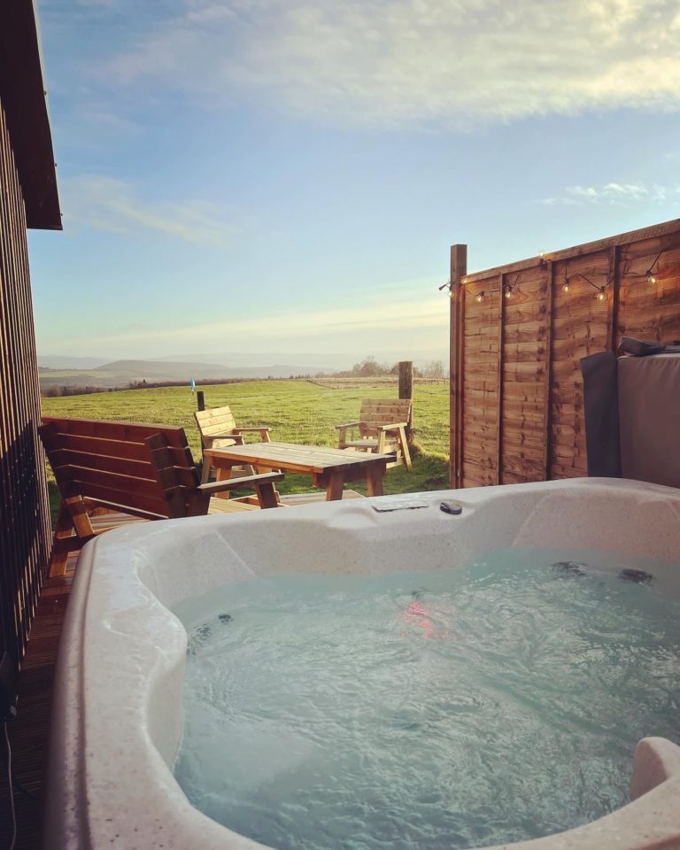 E87D5503 C318 43A5 85AE 56C3EEF0A5F2 768x960