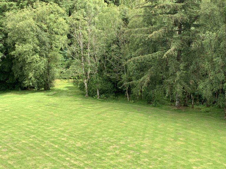 A43BB5CE D228 4E09 B1C8 5200E0B3CE1E 768x576