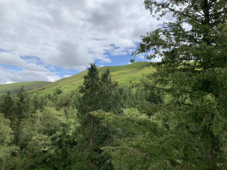 AC213D22 EF87 4DC8 A9BD 62BB8C85E0FF 768x576