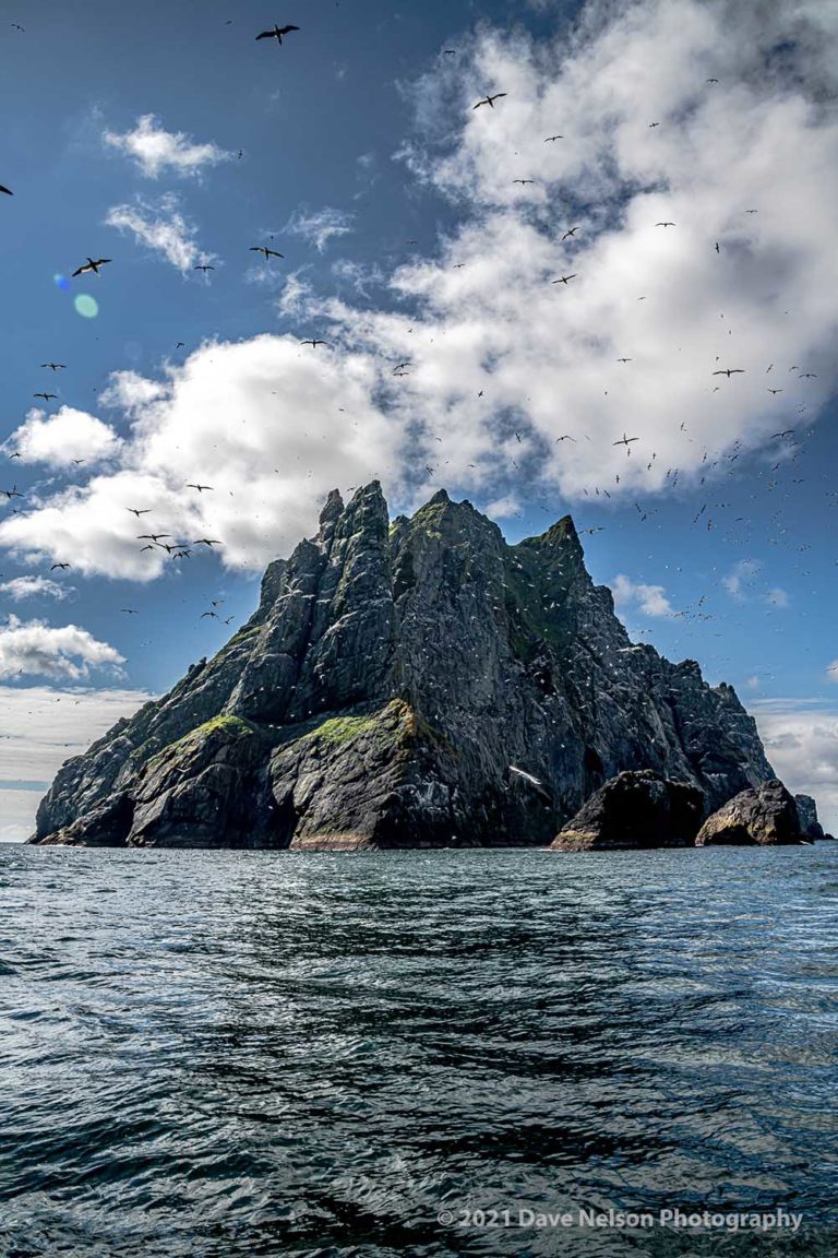 jurassic world boreray resize 768x1152