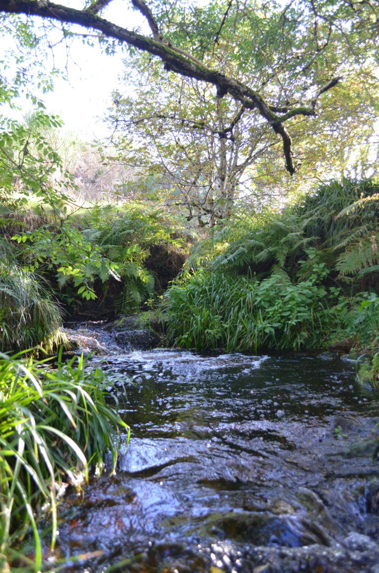 bubblingbrook 768x1160