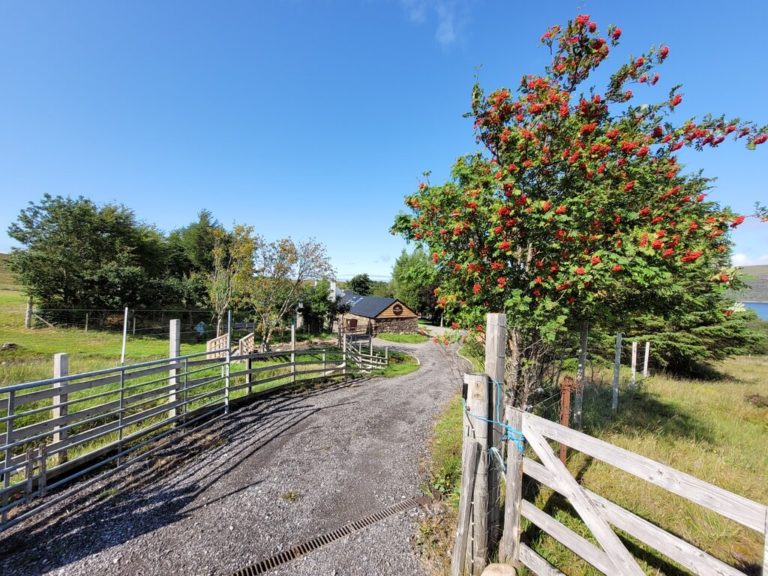 road to pancake barn 1 768x576
