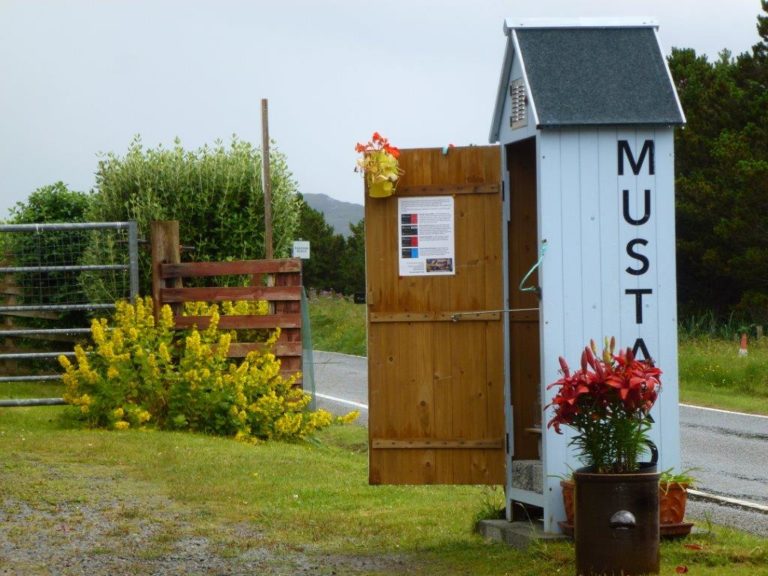 web Shedsafe image.php  768x576