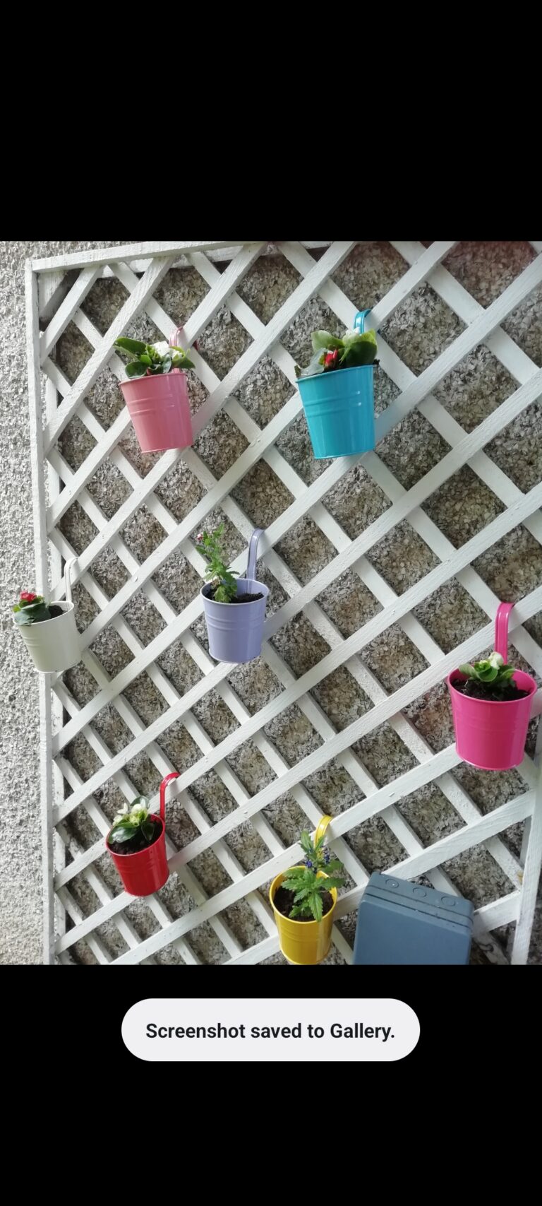 Screenshot 2023 07 29 13 51 07 505 768x1707